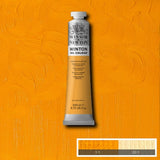 Winton Oil Colours 200ml