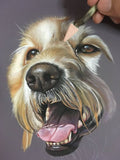 Artists' Pastels by PanPastel