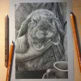 558 Series White Charcoal Pencil
